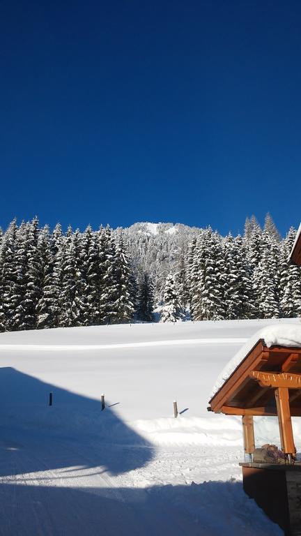 Apartment Knablhof Sankt Martin am Tennengebirge Værelse billede