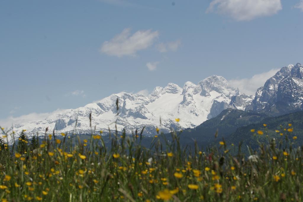 Apartment Knablhof Sankt Martin am Tennengebirge Eksteriør billede